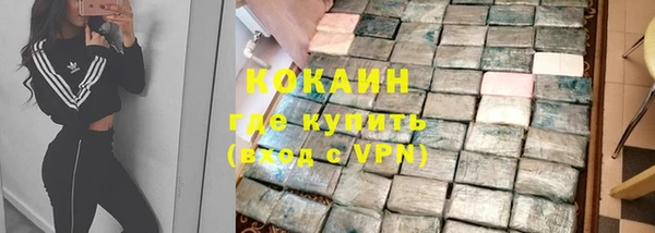 индика Арсеньев