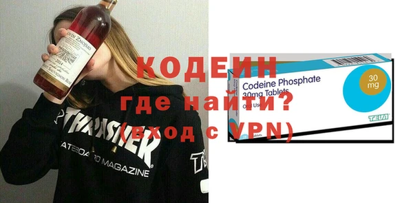 индика Арсеньев