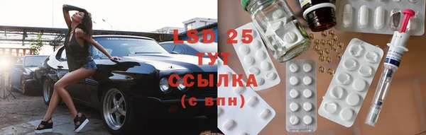 индика Арсеньев