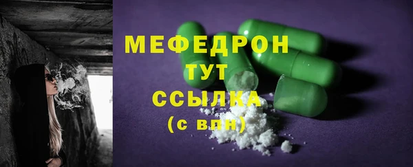 индика Арсеньев