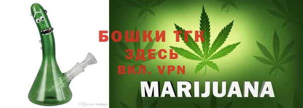 индика Арсеньев