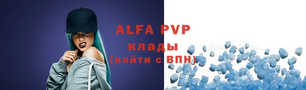 индика Арсеньев