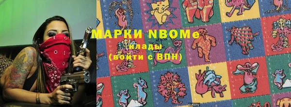 индика Арсеньев