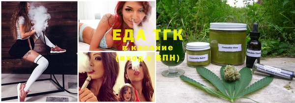 индика Арсеньев