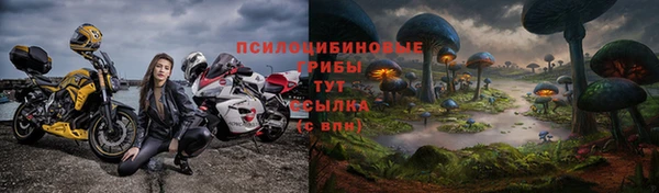 ALPHA PVP Аркадак